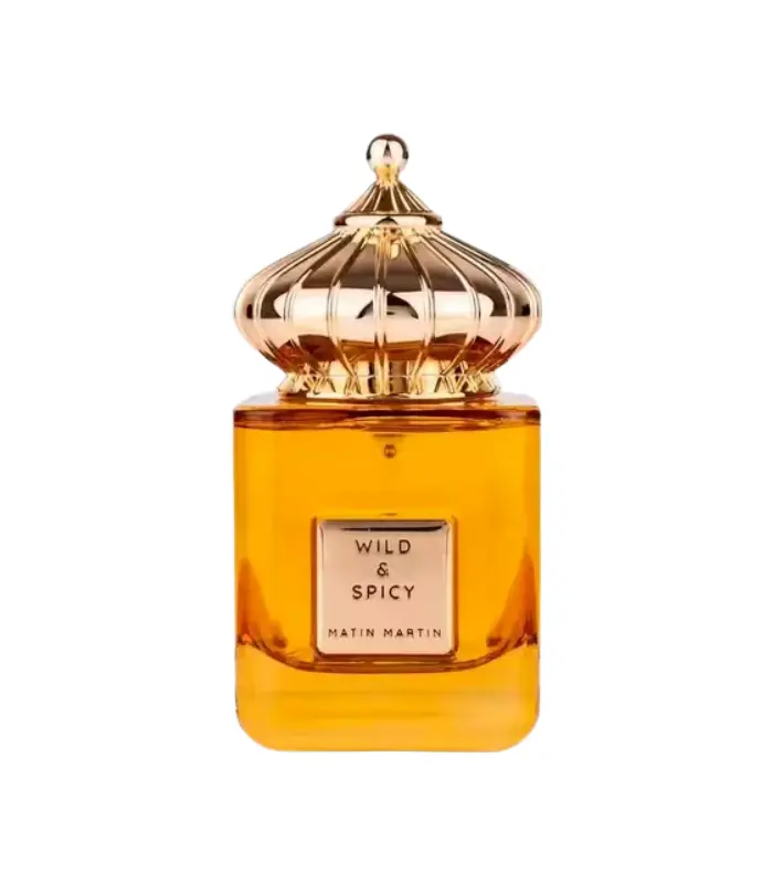 Imagem do produto Perfume Hombre Matin Martin Wild & Spice For Men Edp 100ml Masculino
